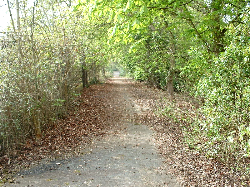 derelict remains of Warner's woodside bay holiday camp showing the entrance driveway
