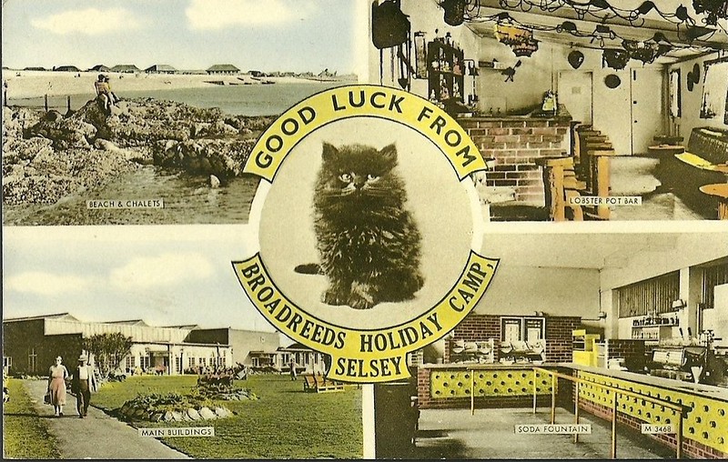vintage postcard of broadreeds Holiday camp